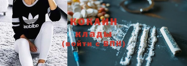 шишки Аркадак