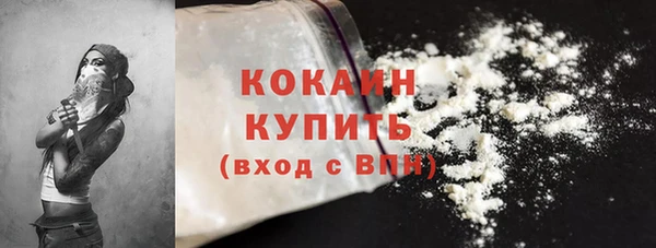 шишки Аркадак