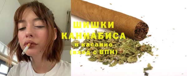 крисы Арсеньев