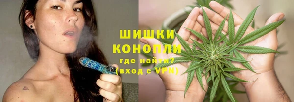шишки Аркадак