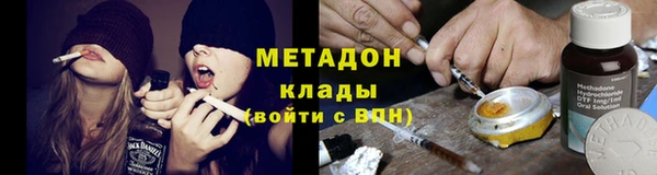 шишки Аркадак