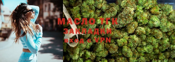 шишки Аркадак