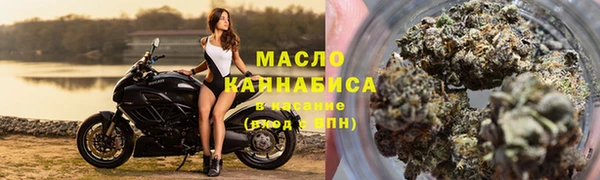 шишки Аркадак