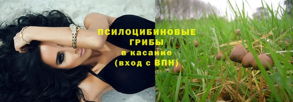крисы Арсеньев