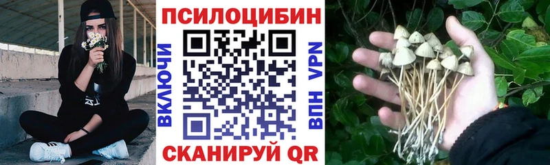 Псилоцибиновые грибы мицелий  даркнет клад  ссылка на мегу как зайти  Северо-Курильск  закладка 
